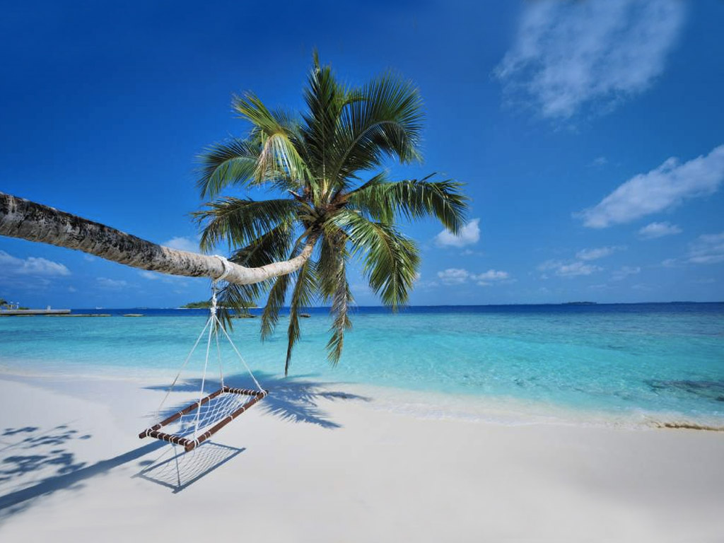 Bandos Island Resort | Maldivler | Turu | Turlar | Otel | Balay | Erken Rezervasyon |  Promosyonlar | ndirim